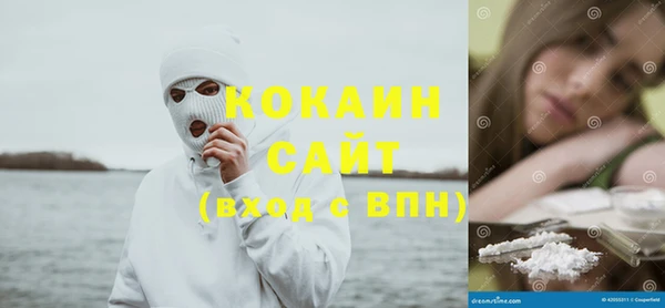 МДПВ Богородск