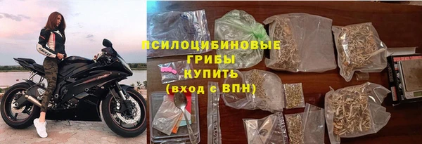 МДПВ Богородск