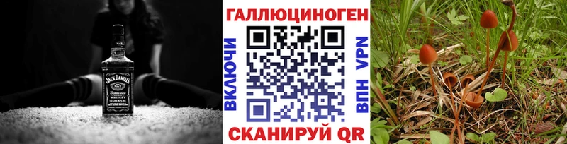 Псилоцибиновые грибы прущие грибы  Дигора 